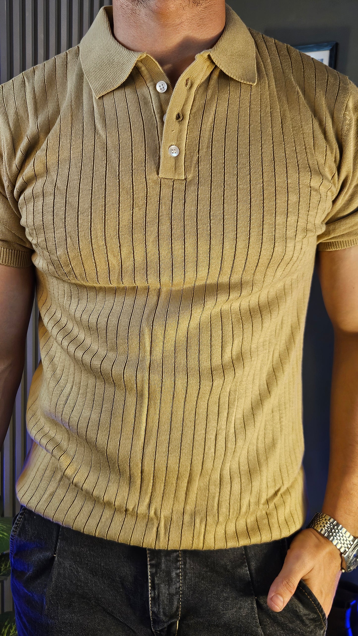 Anthracite Denim Classic Button Gurkha Pant × Beige Wide Stripes Half Sleeves Knit Polo